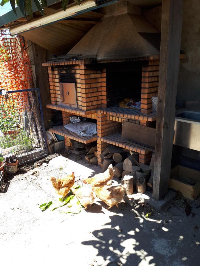 House Contu1000 Apartman Porto Kültér fotó