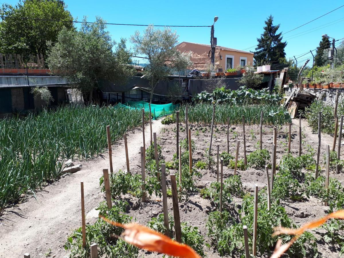 House Contu1000 Apartman Porto Kültér fotó